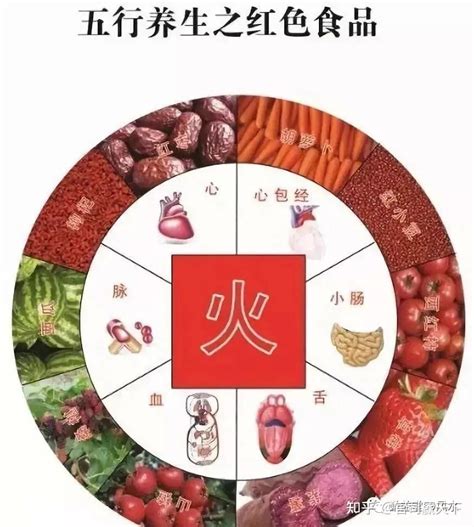 食物五行 磁場 遮蔽